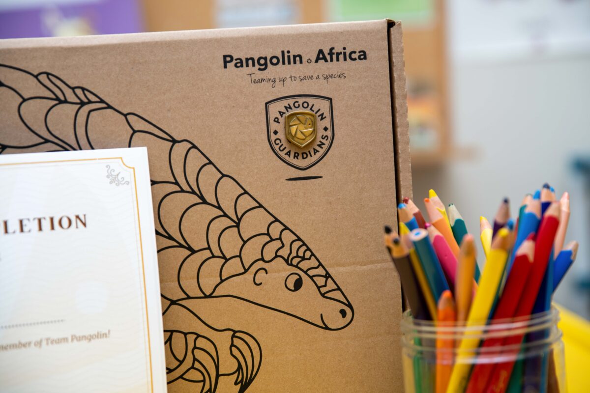 Pangolin Guardian learner pack with coloured pencils