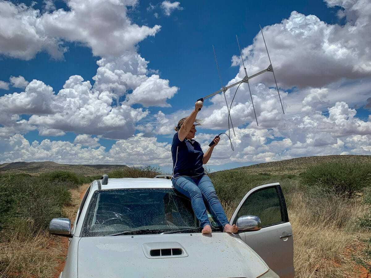 Kalahari Wildlife Project ranger using a telemetry antenna on a rescue vehicle